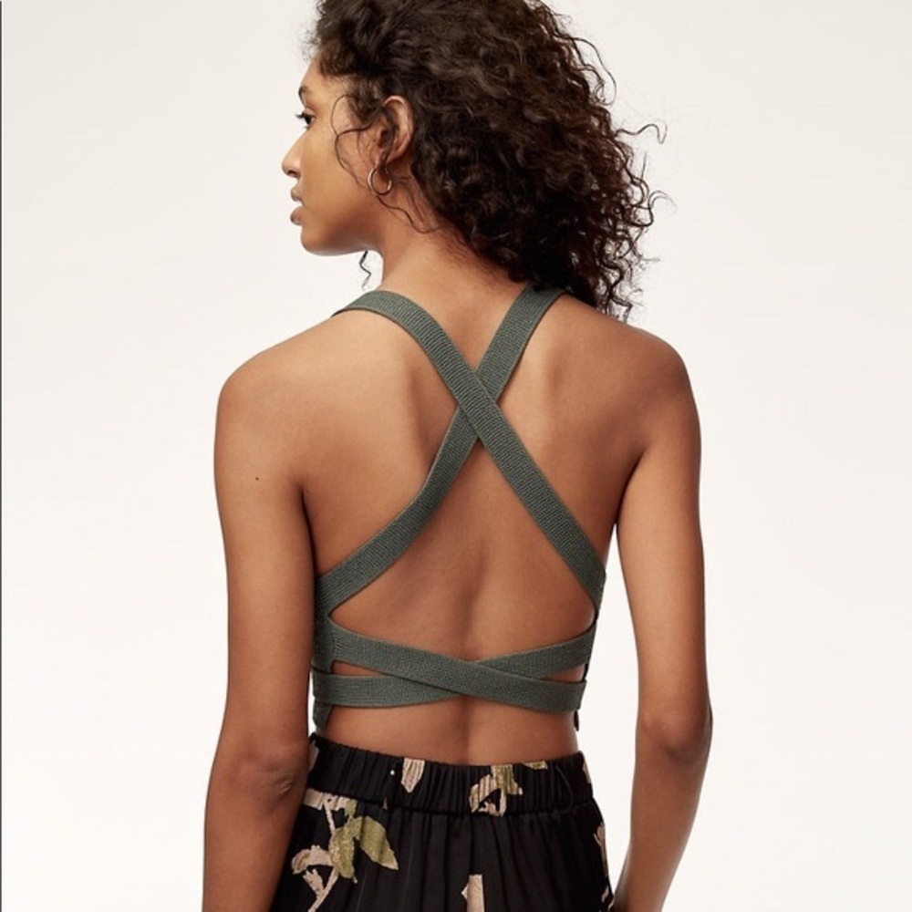 Aritzia Cayenne Knit Crop Top in Sage